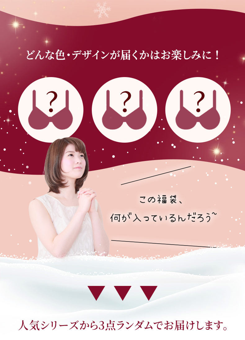 小さく見せるブラ お任せ 福袋VEIMIA
