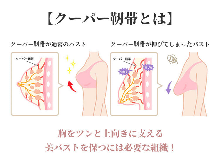 授乳ブラ 垂れ防止 バストケア VEIMIA