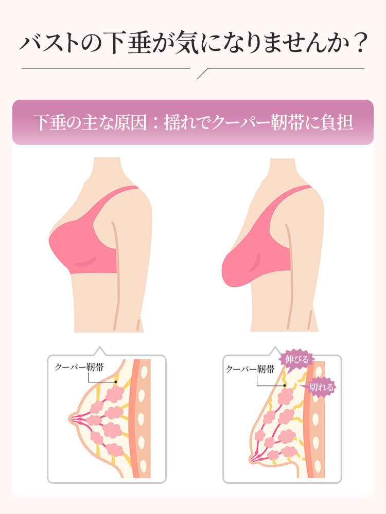 胸 を 小さく 見せる ブラ 下垂の主な原因 ヴェーミア