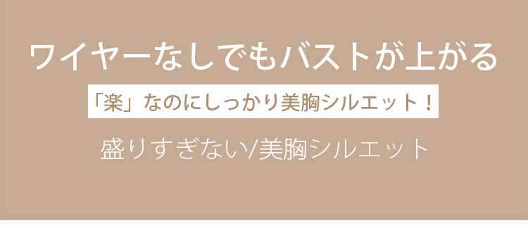 小さく見せるブラ 美胸
