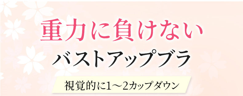 大きいサイズブラ 重力に負けない VEIMIA