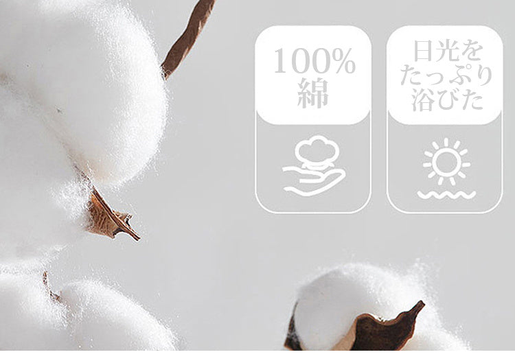 食い込ま ない ショーツ 100％綿 ヴェーミア