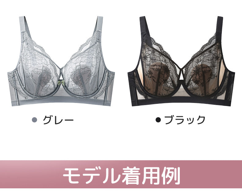 セクシー ブラ グレーとブラック ヴェーミア