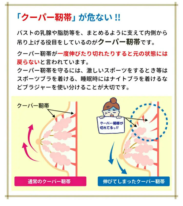 美胸ブラ クーパー靭帯を守る
