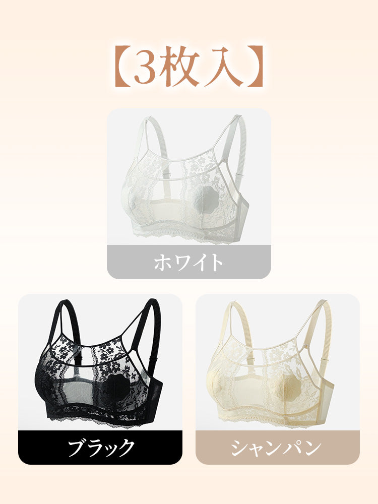 小さく 見せる ブラ 【3枚入】ホワイト&ブラック&シャンパン ヴェーミア