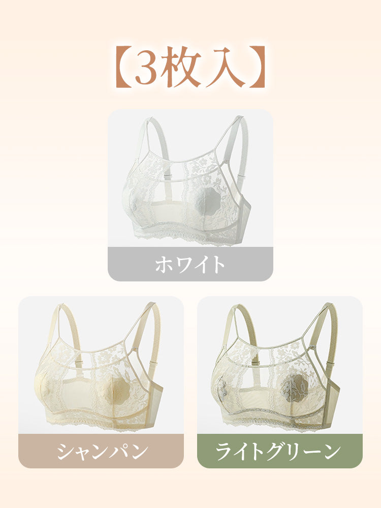 小さく 見せる ブラ 【3枚入】ホワイト&シャンパン&ライトグリーン ヴェーミア
