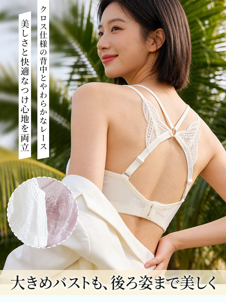 ブラ 背中レースで後ろ姿まで美しく魅せる VEIMIA