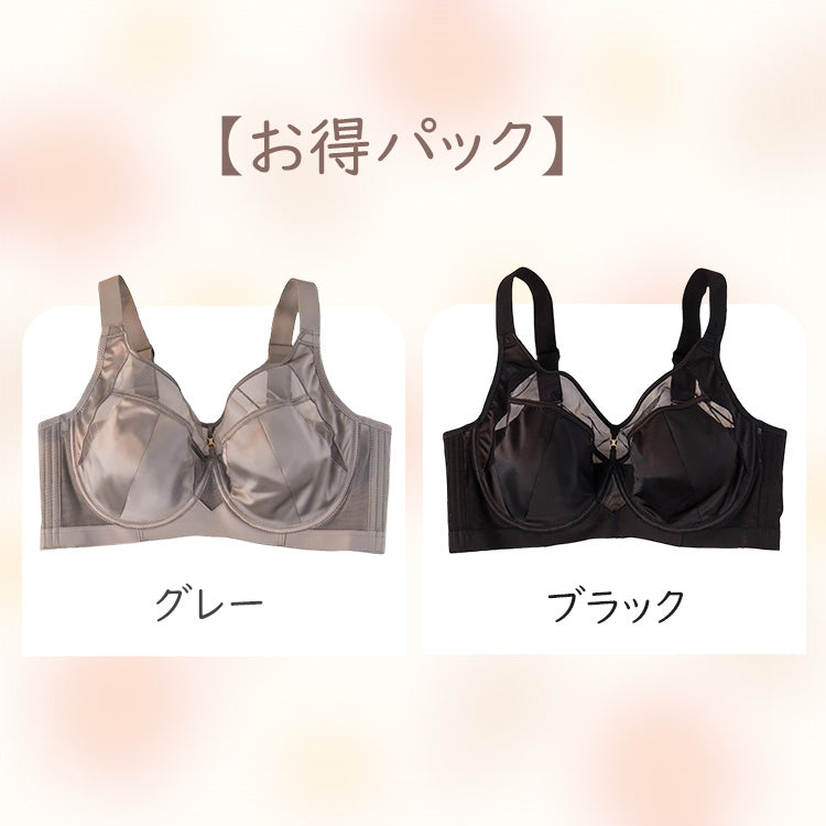 ブラジャー 小さく見せる 【お得2点入】グレー&ブラック ヴェーミア