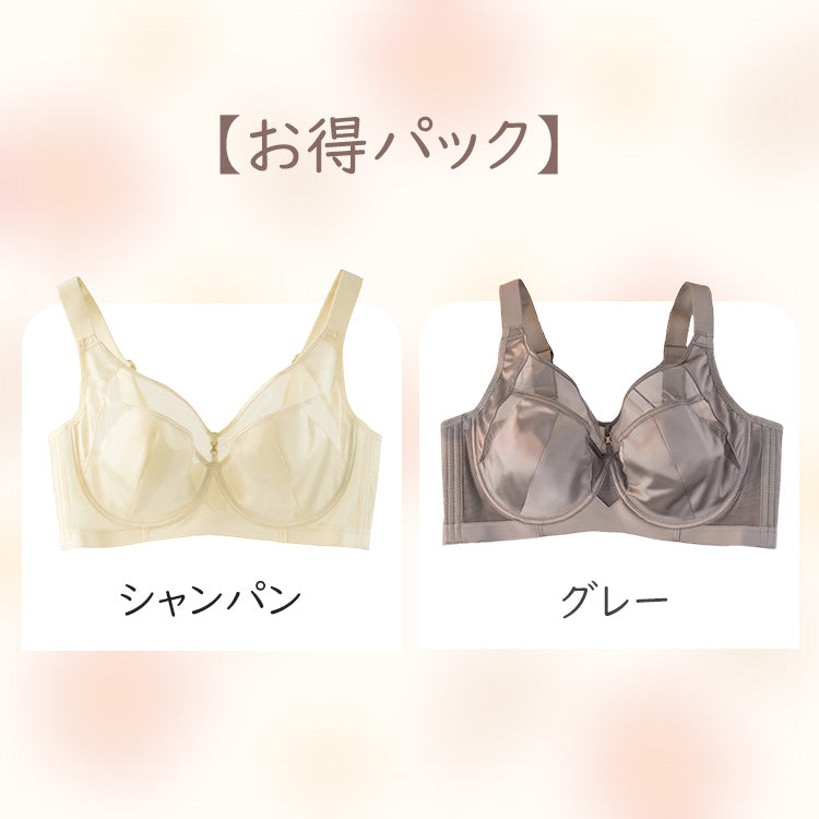 ブラジャー 小さく見せる 【お得2点入】シャンパン&グレー ヴェーミア