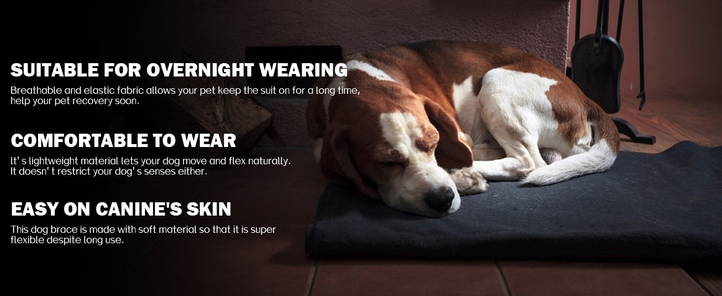 Hind Leg Recovery Suit for Dogs