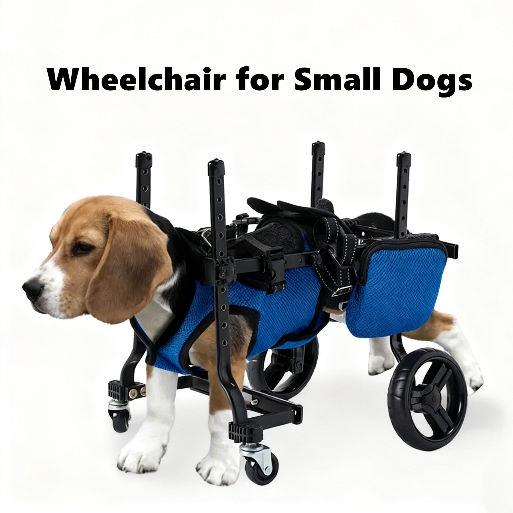 Dog wheelchair with a small dog wearing it