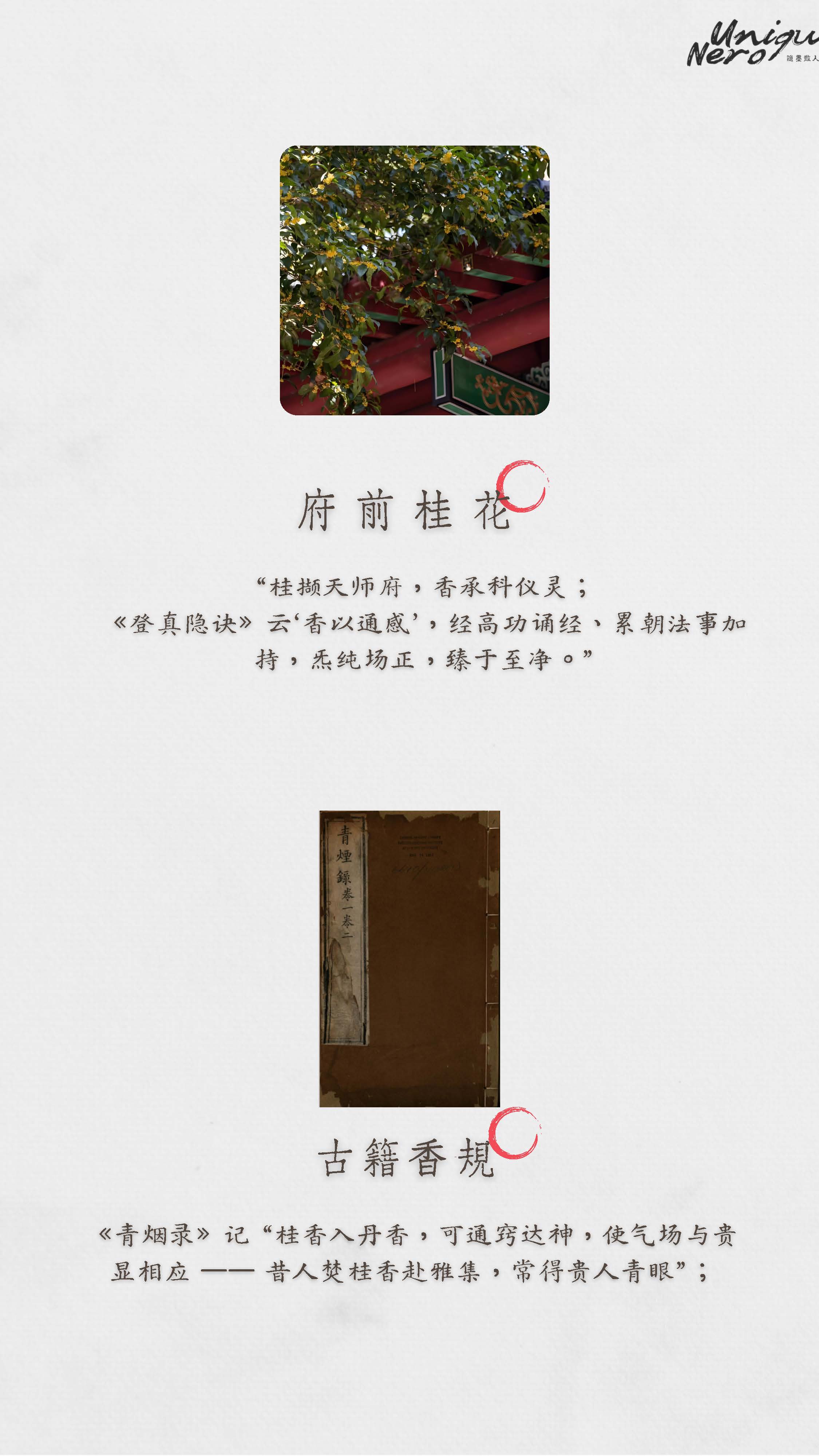 貴人香