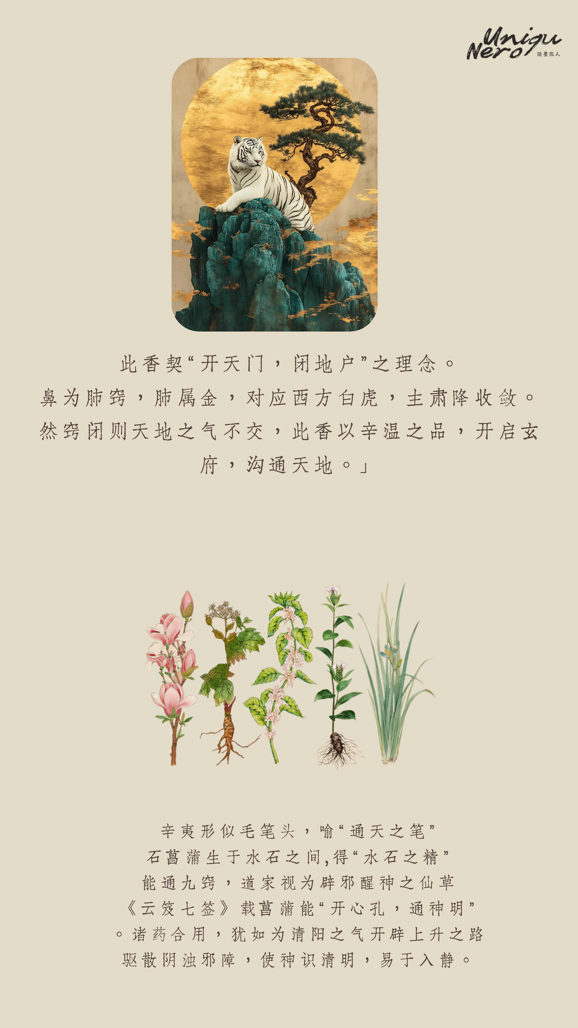 通竅香