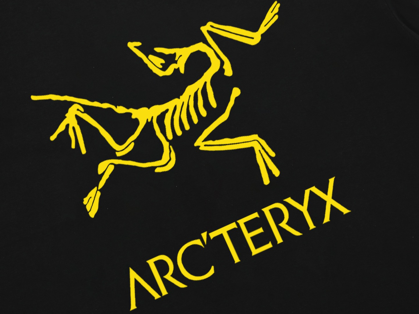 【ARCTERYX  公式旗艦店】 アークテリクス  Tシャツ ご好評に付き再入荷！250217-BRAND OFF