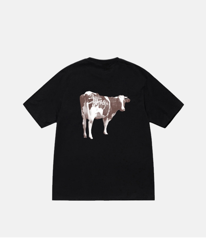 【期間限定割引価格】STUSSY GRASSFED TEE