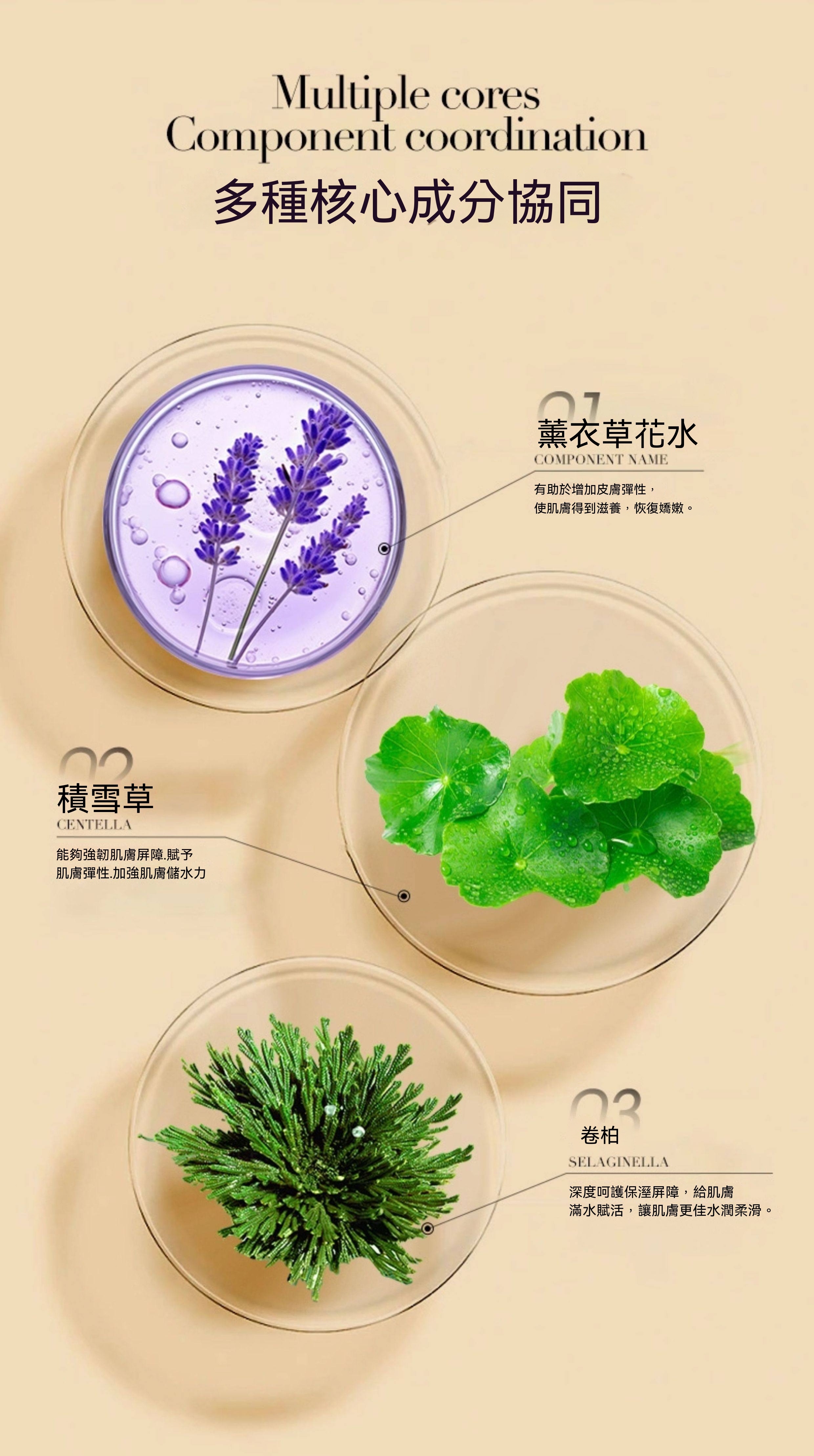 Annaiyan安奈顔神經酰胺復活草肌源膜