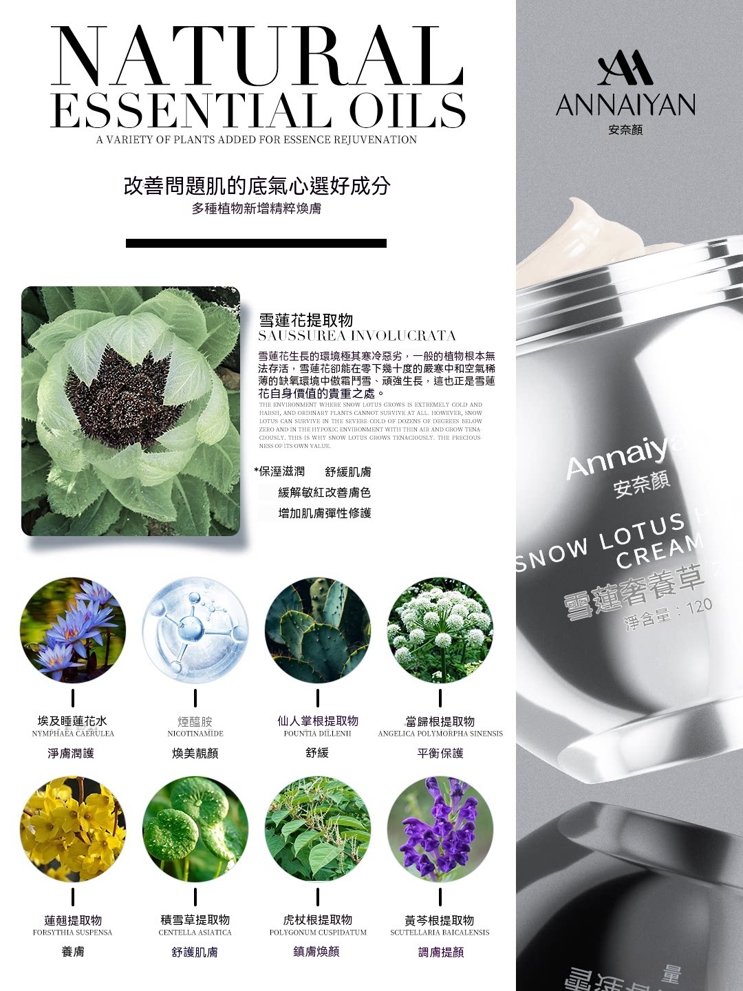 Annaiyan安奈顔雪蓮奢養草本膏
