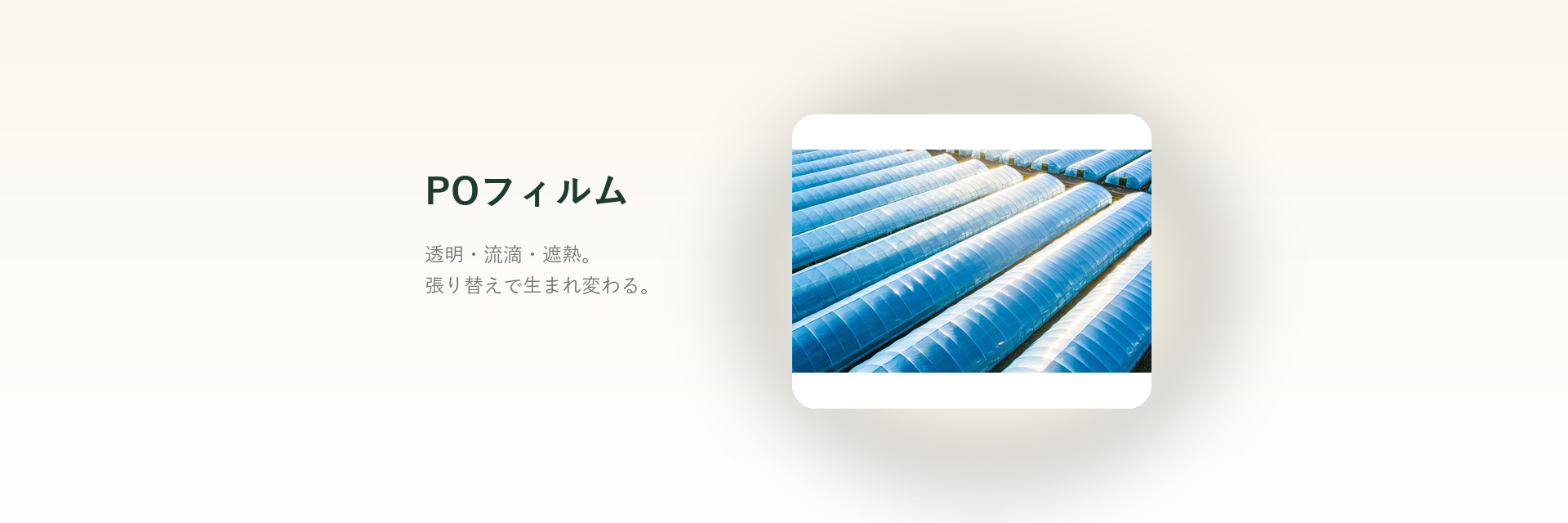 POフィルム（ハウス張り替え用