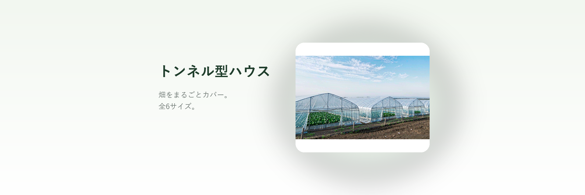 トンネル型ハウス