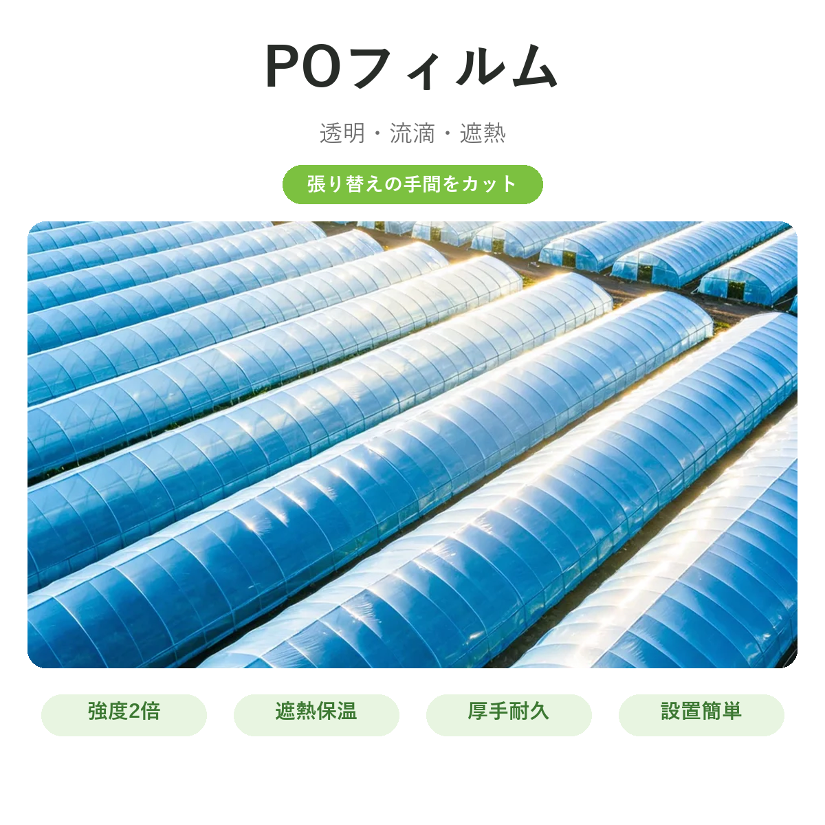 POフィルム（ハウス張り替え用