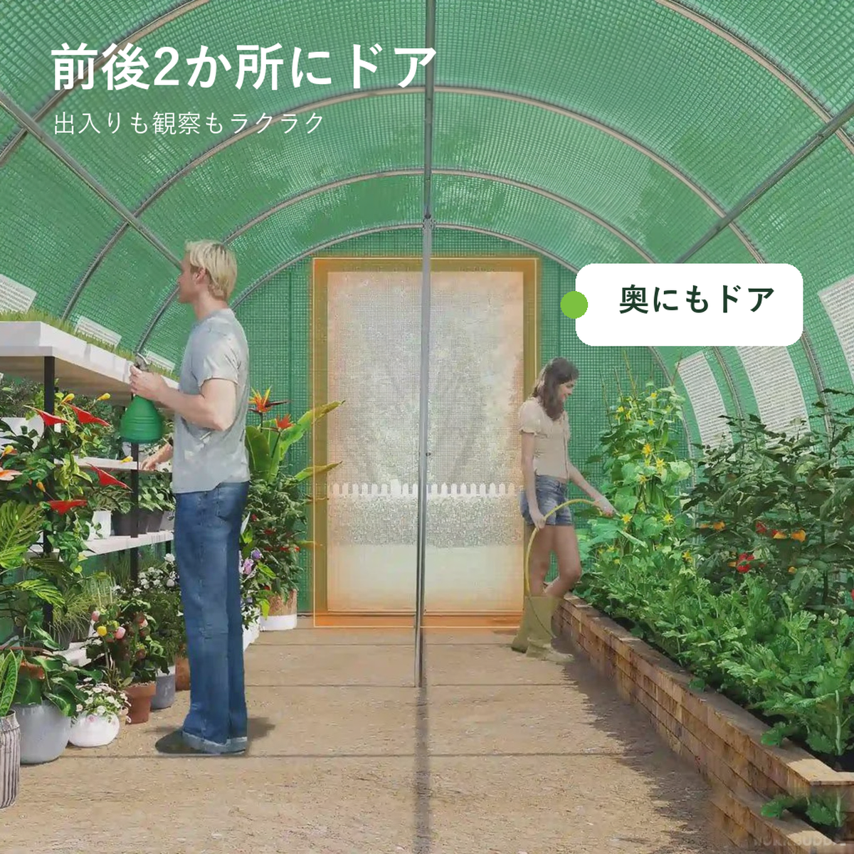 ビニールハウス ウォークイン式 家庭菜園 温室 間口200/250×高さ200×長さ400~600cm 4サイズ 防虫 遮光 霜よけ