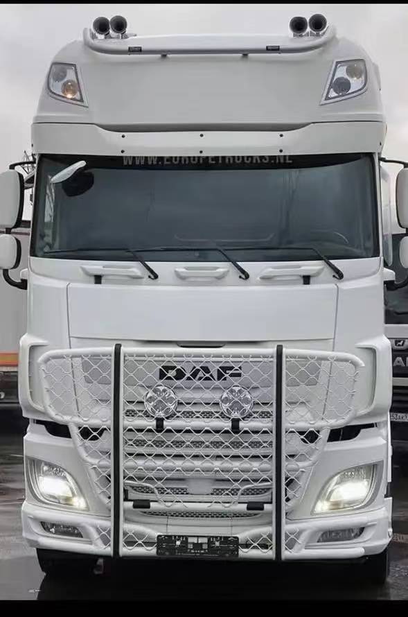 Heavy-Duty Stainless Steel Front Bumper Bull Bar Guard for DAF Truck, Multiple Colors