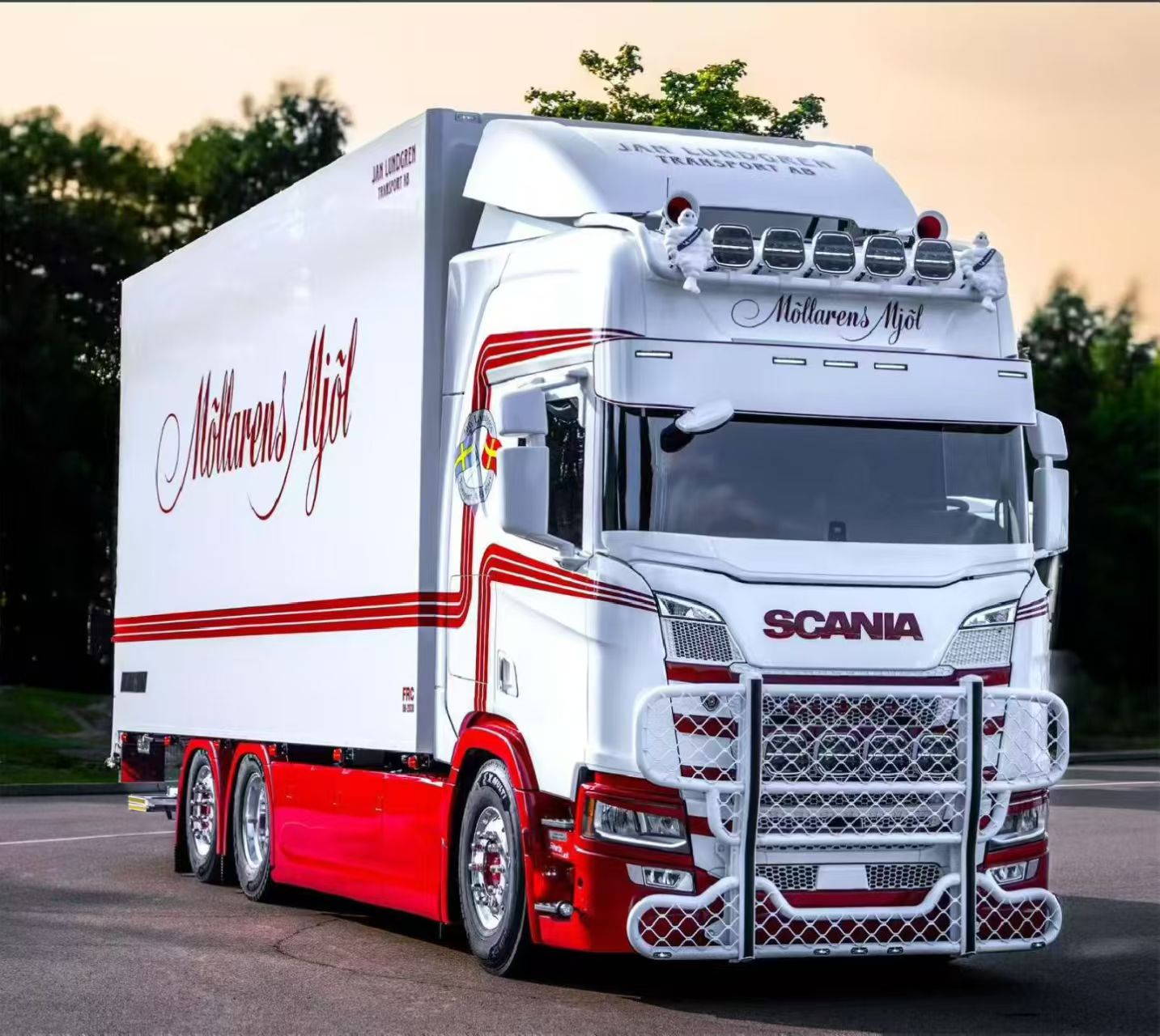 Heavy-Duty Stainless Steel Front Bumper Bull Bar Guard for Scania Truck, Multiple Colors