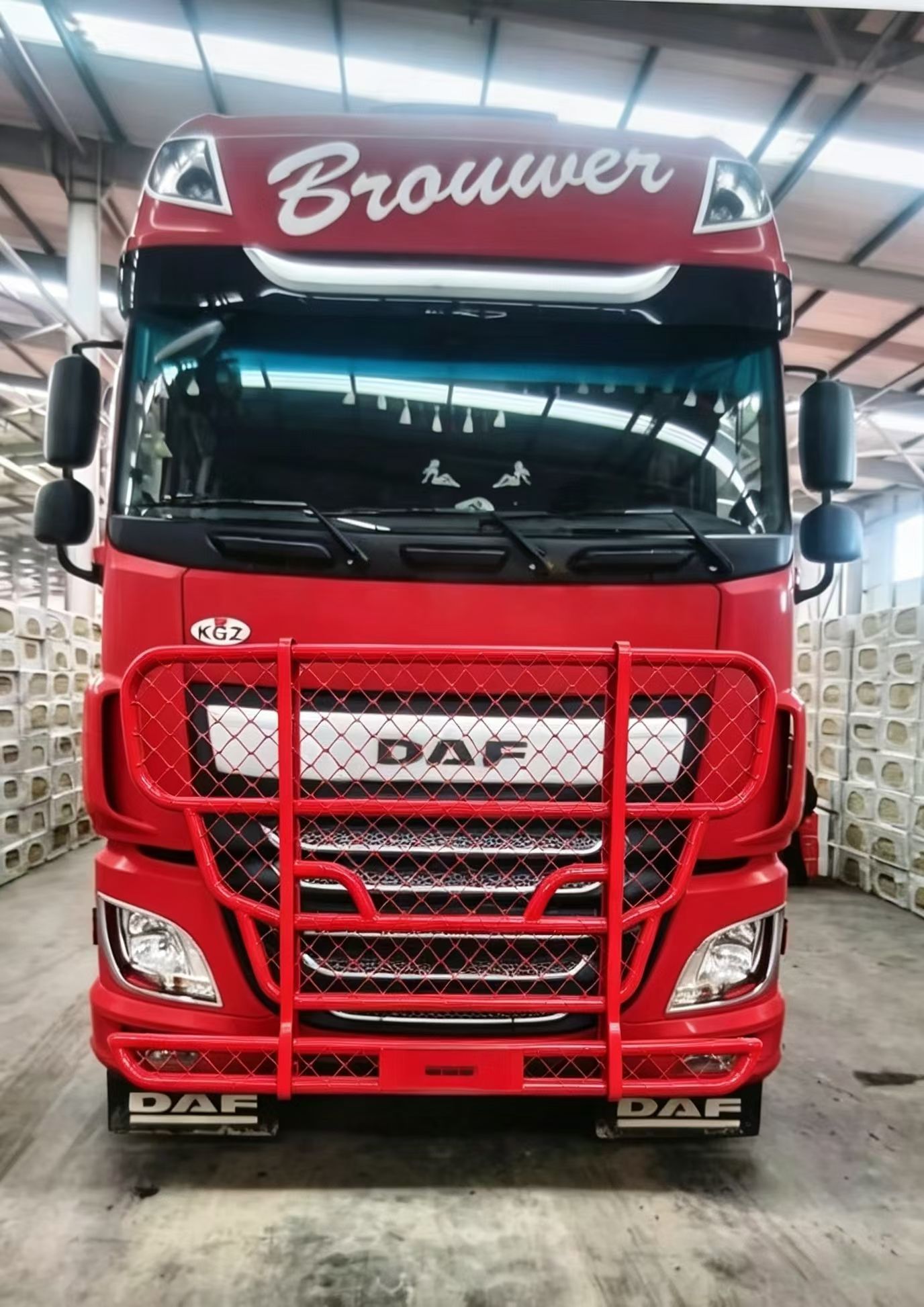 Heavy-Duty Stainless Steel Front Bumper Bull Bar Guard for DAF Truck, Multiple Colors