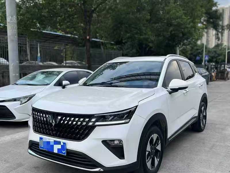 Wuling Alvez