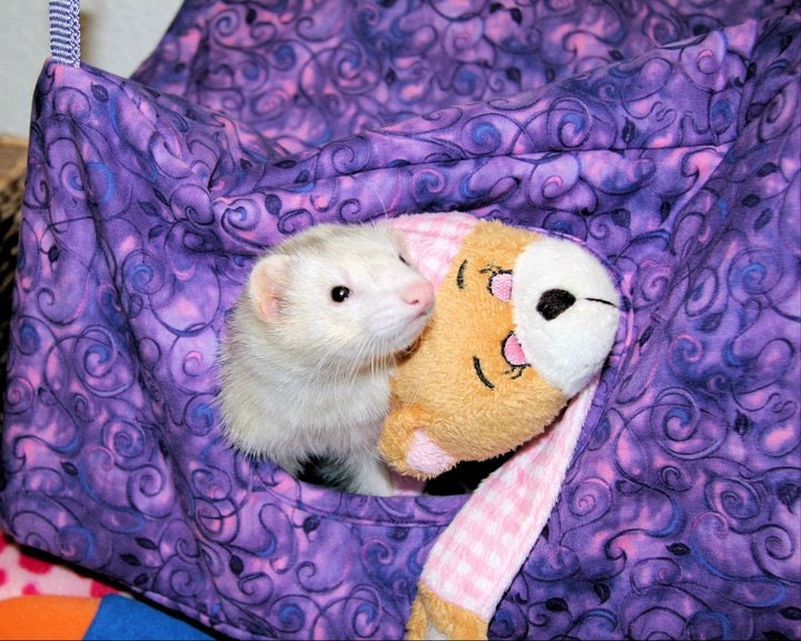 7 Piece Crochet Pet Ferret Toy Set