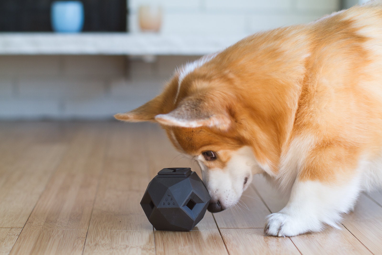 Modern Enrichment Dog Puzzle Toy - The Odin