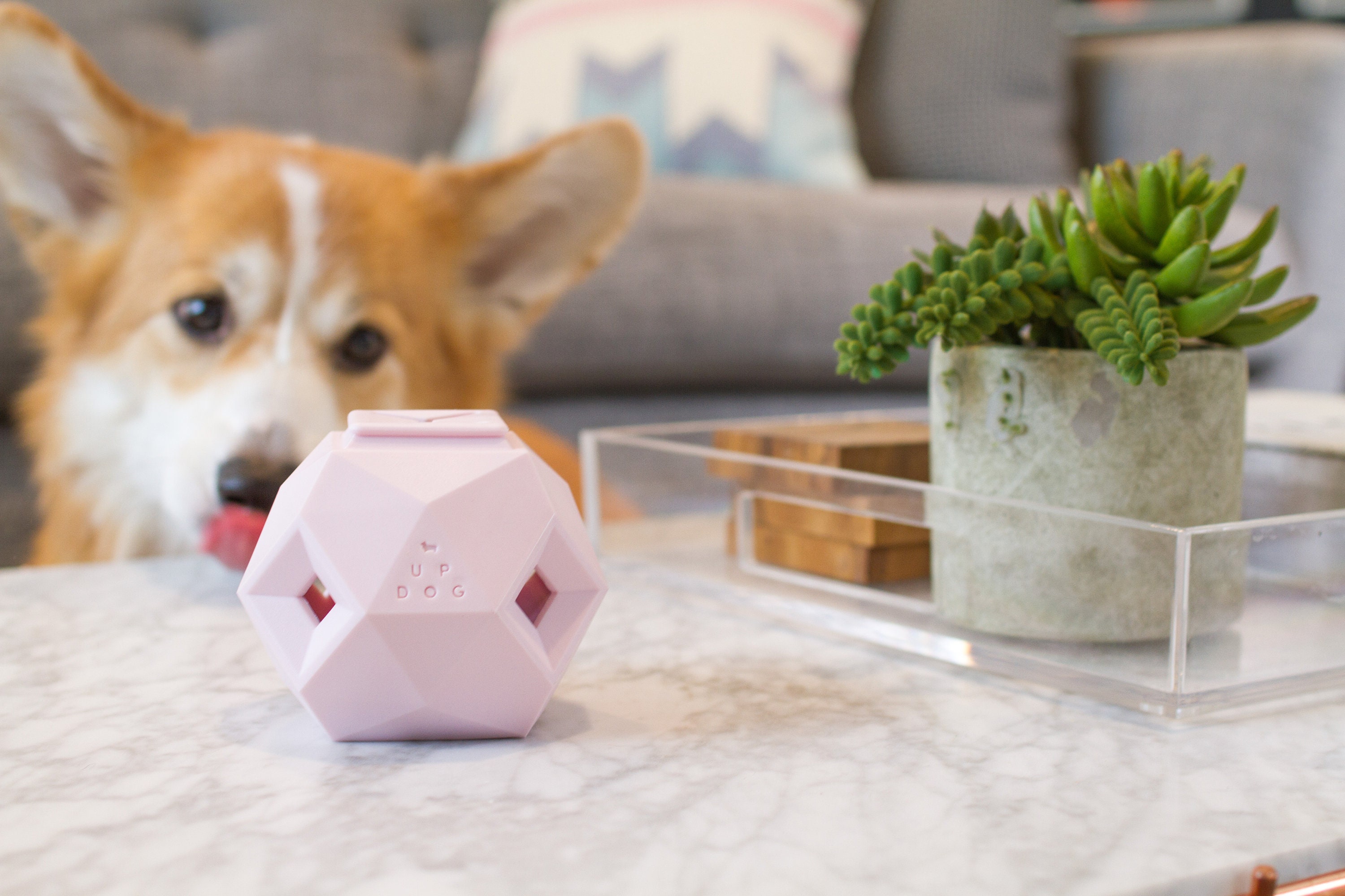 Modern Enrichment Dog Puzzle Toy - The Odin