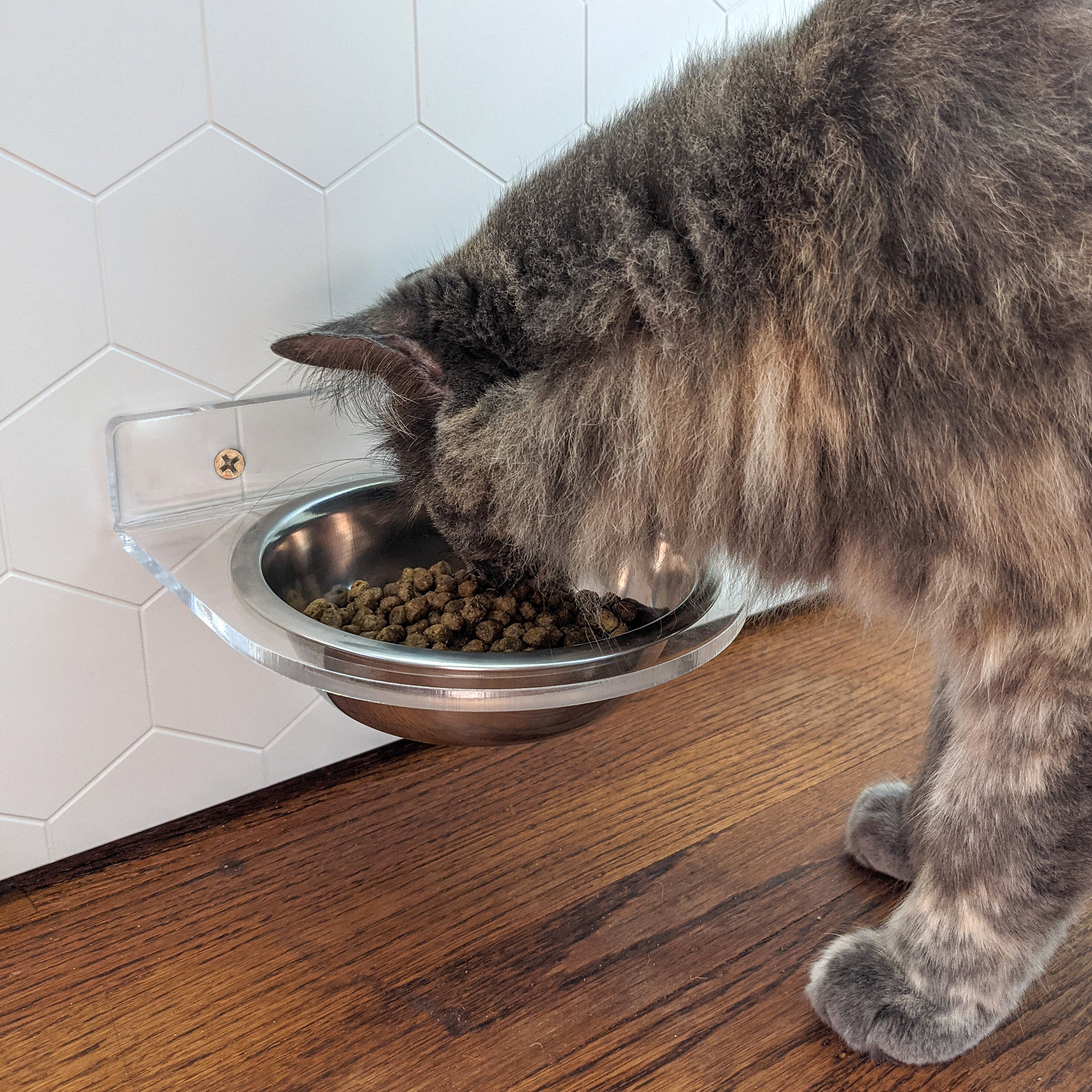 Double Wall Mounted Acrylic Pet Feeder - 4 Sizes