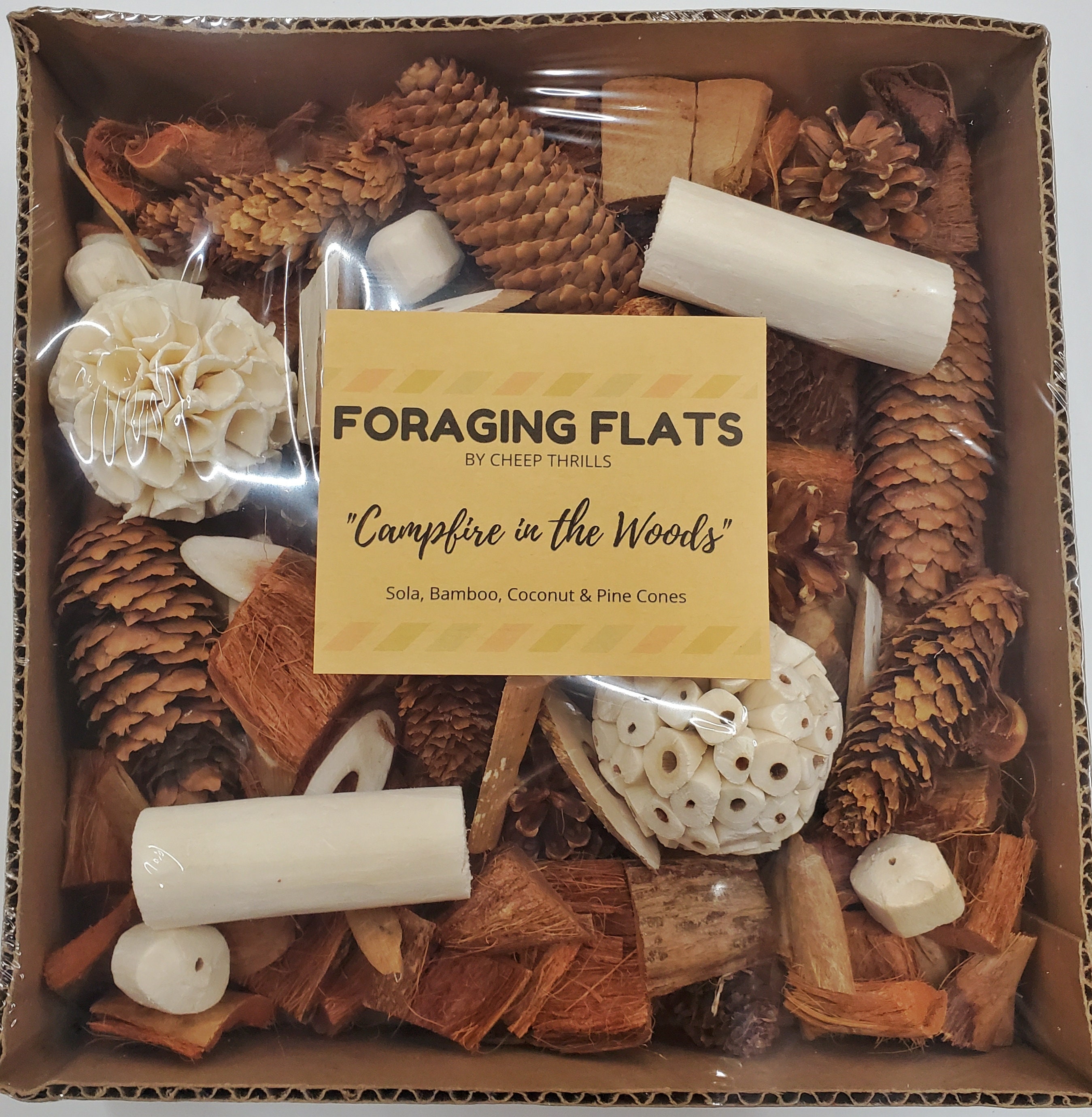 Bird Foraging Toy Box with Coconut Husk and Sola for Parrots, Cockatiels, Quakers, Conures, Budgies