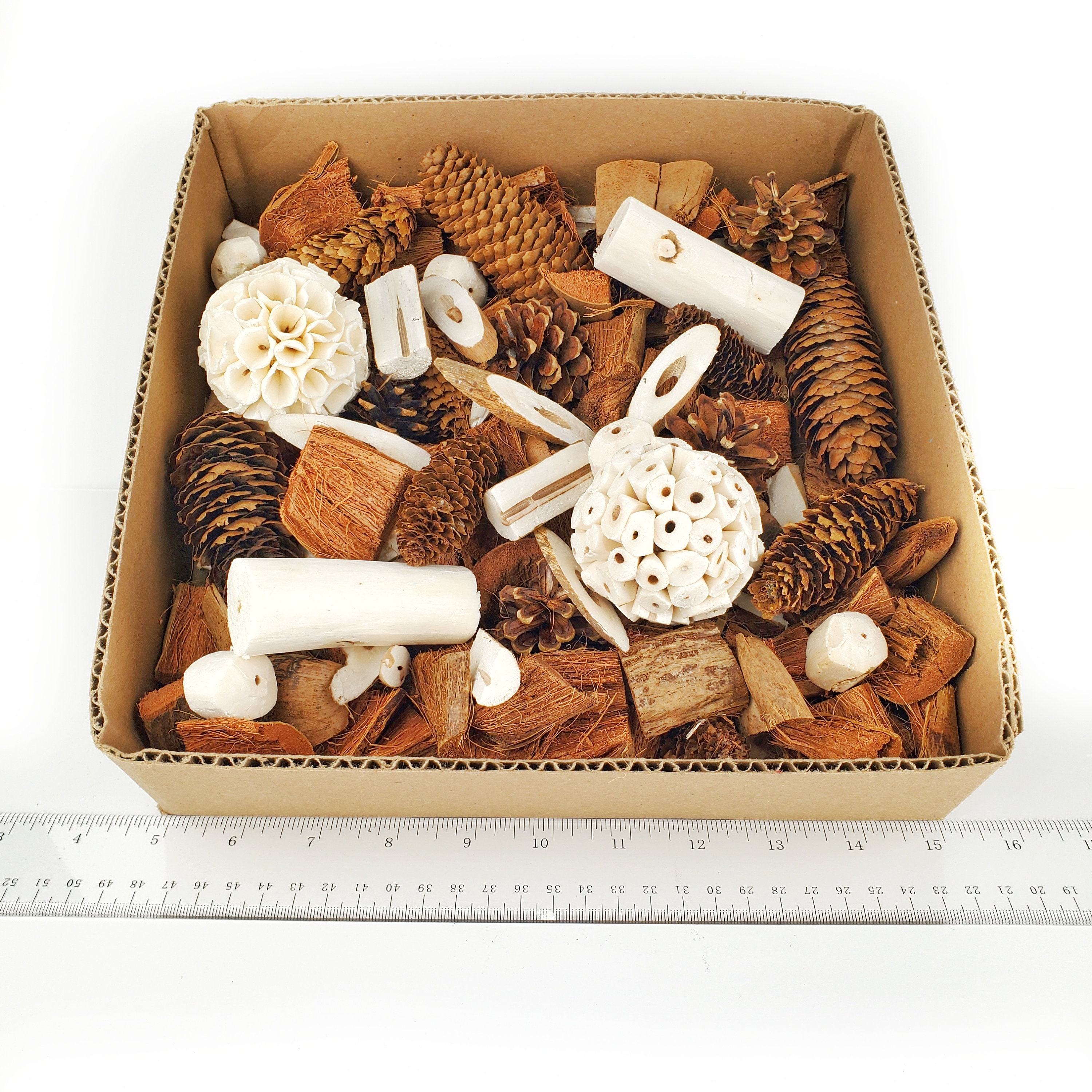 Bird Foraging Toy Box with Coconut Husk and Sola for Parrots, Cockatiels, Quakers, Conures, Budgies