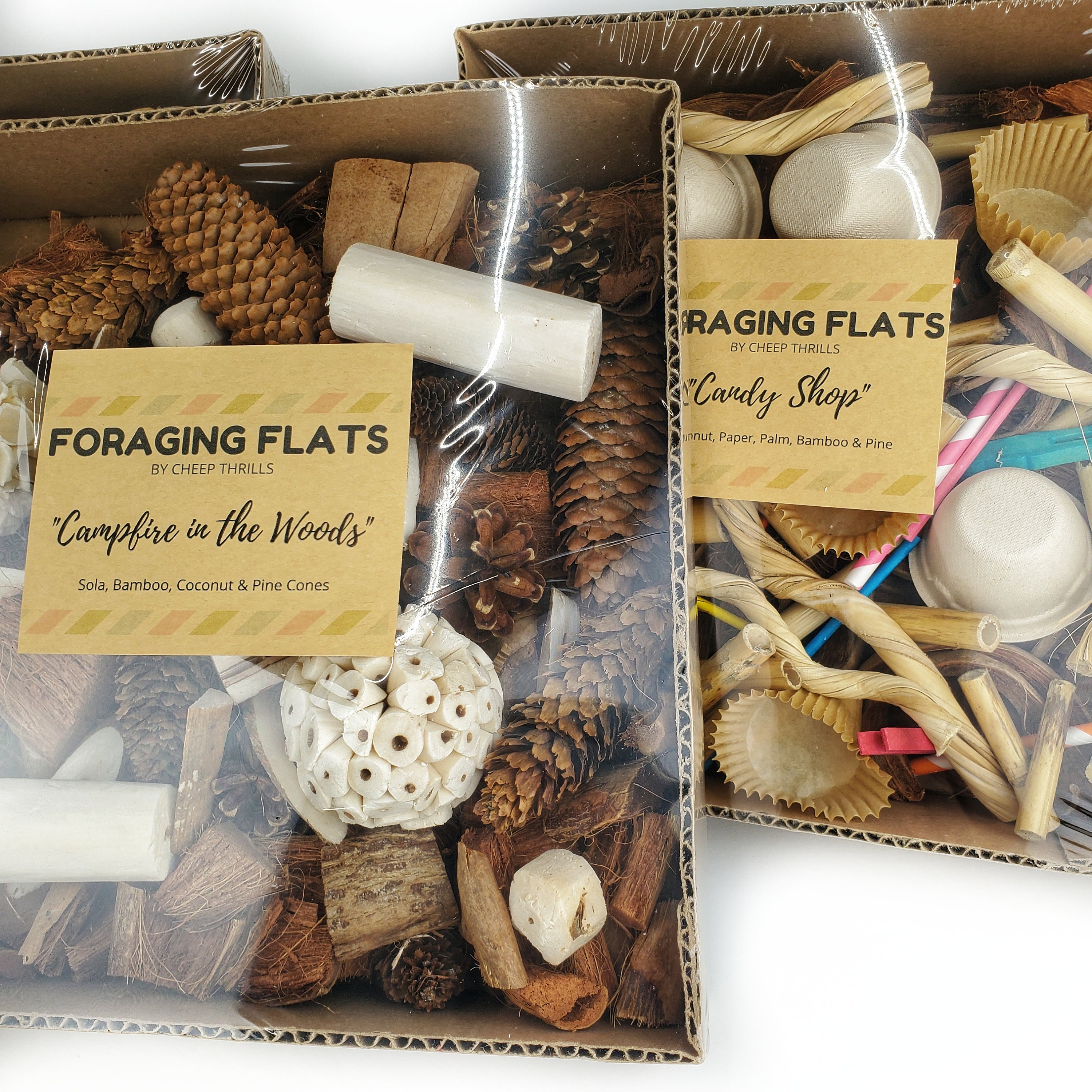 Bird Foraging Toy Box with Coconut Husk and Sola for Parrots, Cockatiels, Quakers, Conures, Budgies