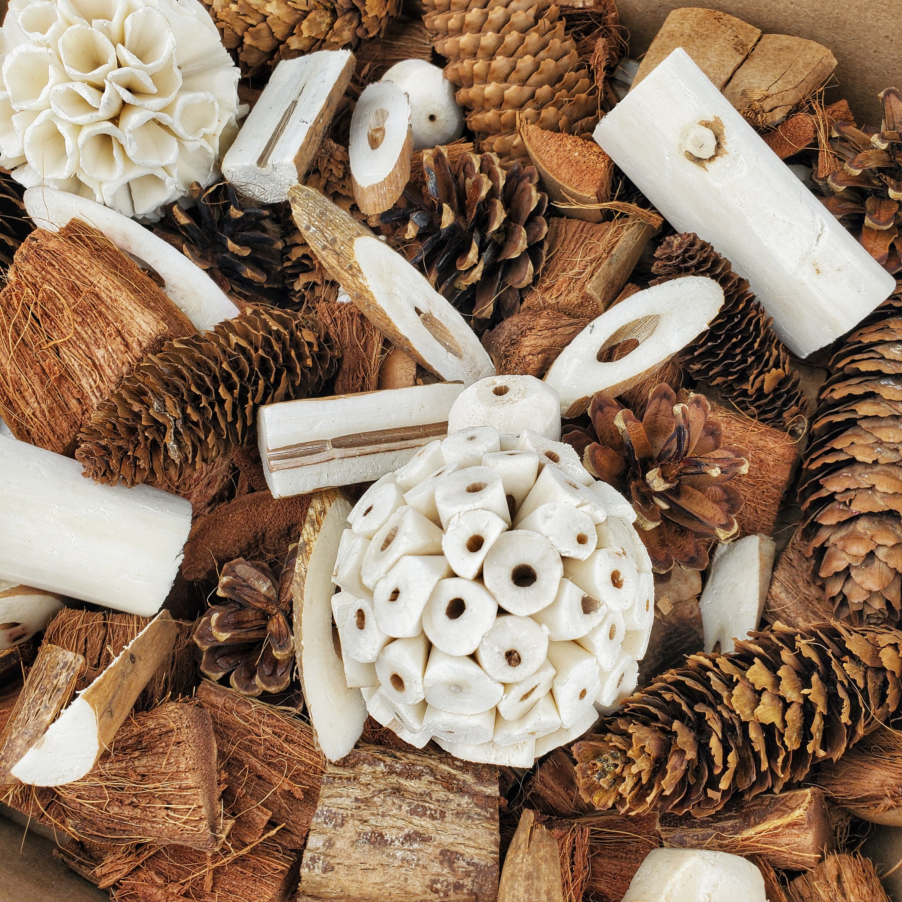 Bird Foraging Toy Box with Coconut Husk and Sola for Parrots, Cockatiels, Quakers, Conures, Budgies