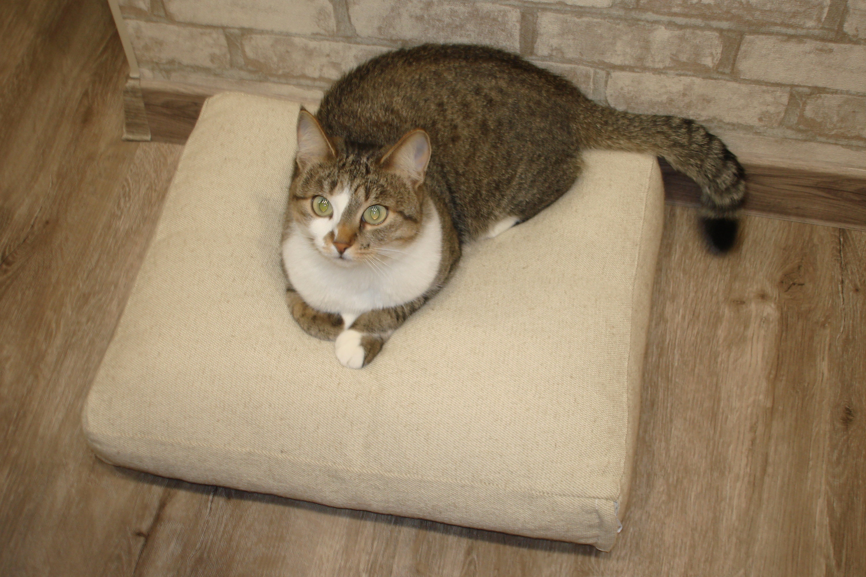 Organic Washable Pet Bed with Removable Blanket, Linen Cat Bed, Dog Bed with 2 Layers Hemp Filling, Removable Cover, Eco-Friendly Soft Bed for Pets