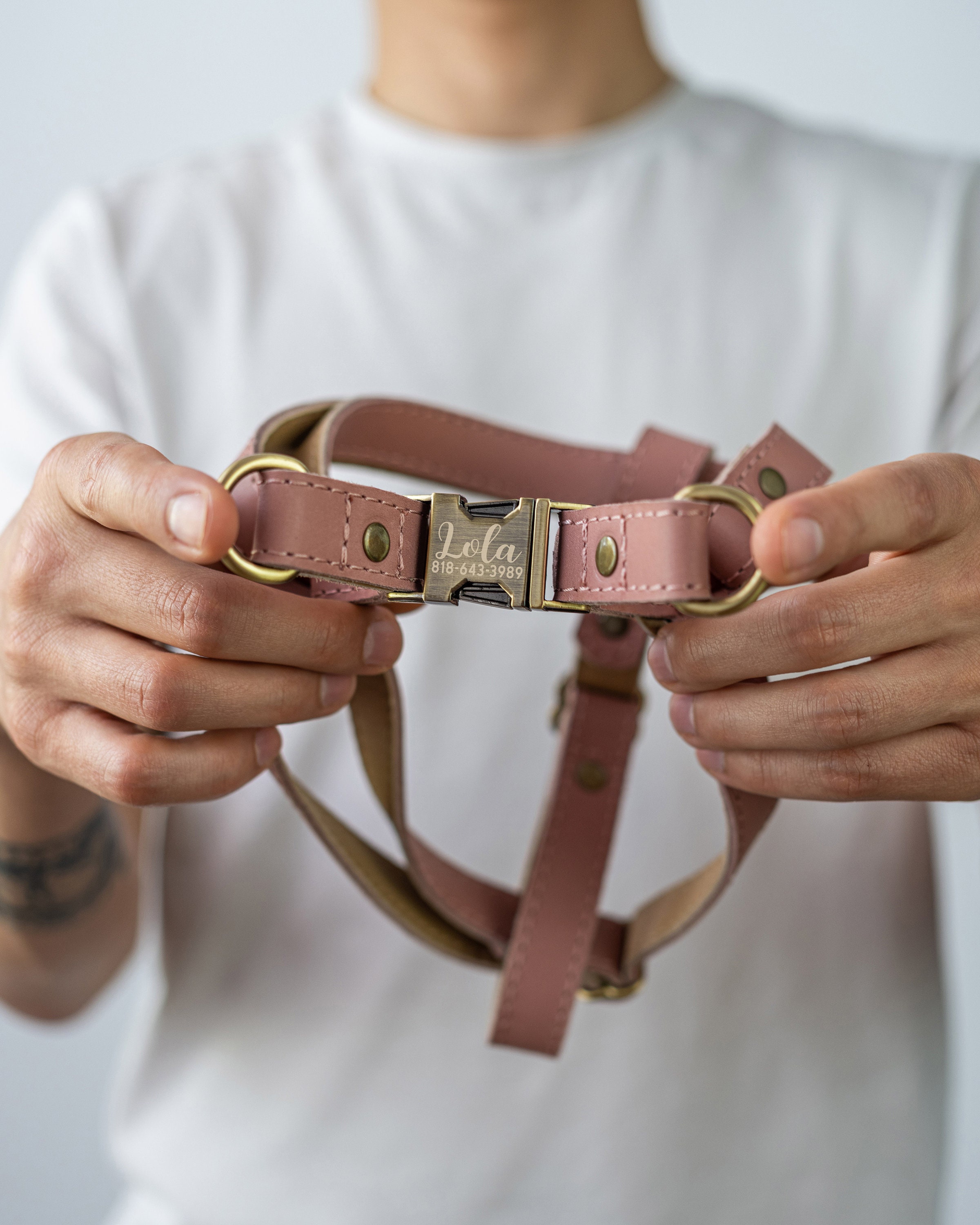 Leather Dog Harness