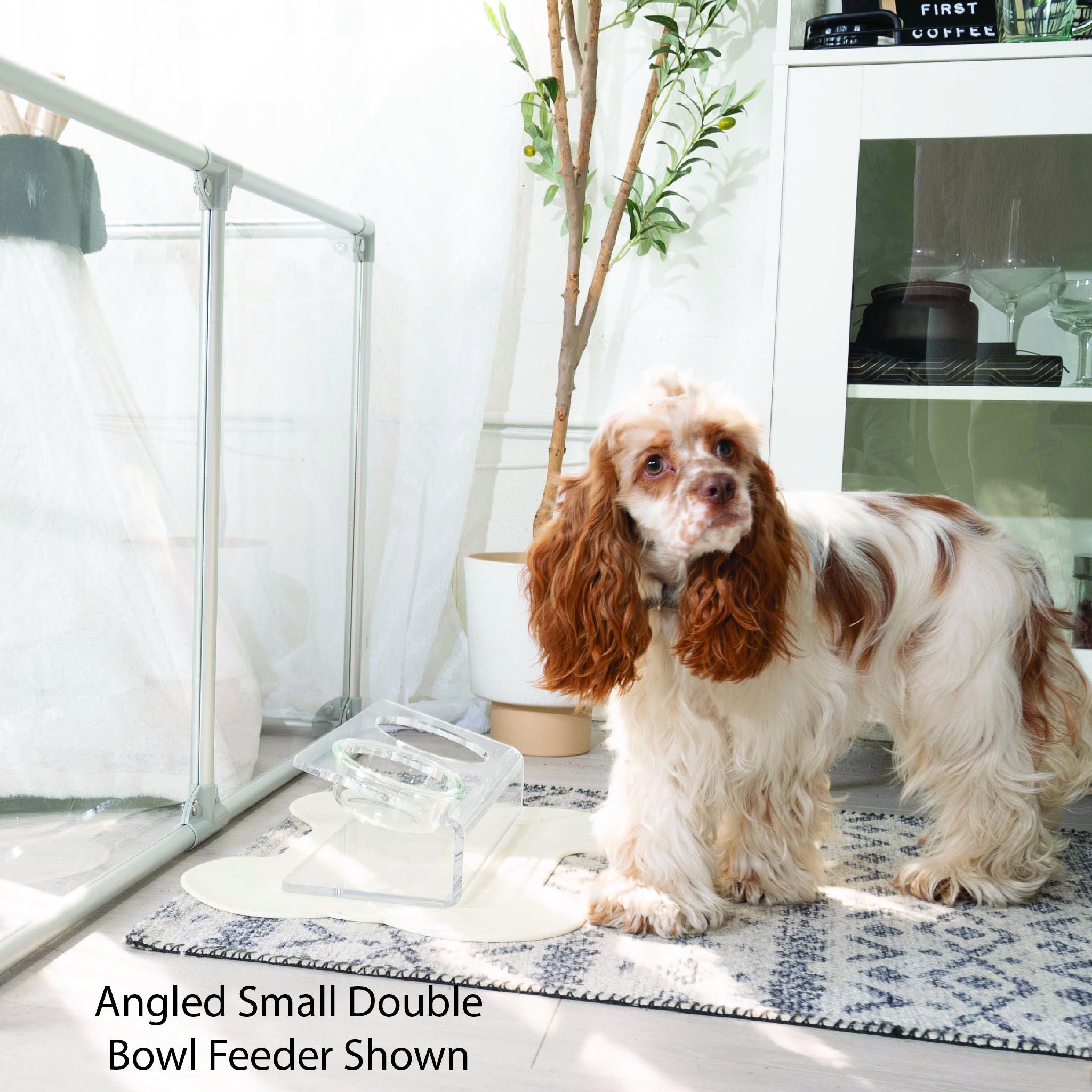 Modern Clear Acrylic Elevated Angled Pet Feeder, Double Bowl