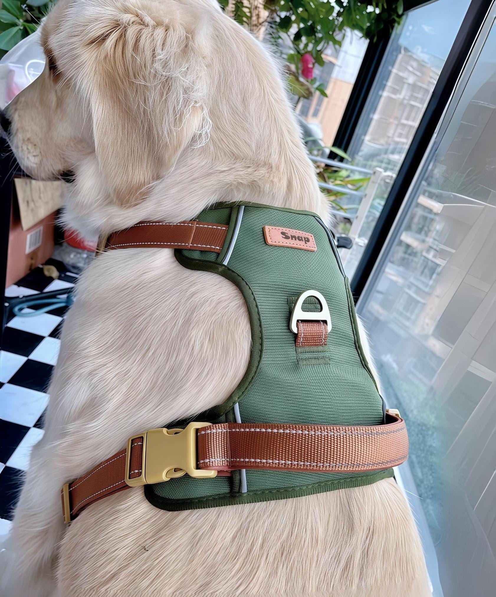 Personalized Pet Harness, Night Reflective Collar With Customized Name, No Pull Harness, Solid Color Luxury Puppy Harness, Gift For Pet