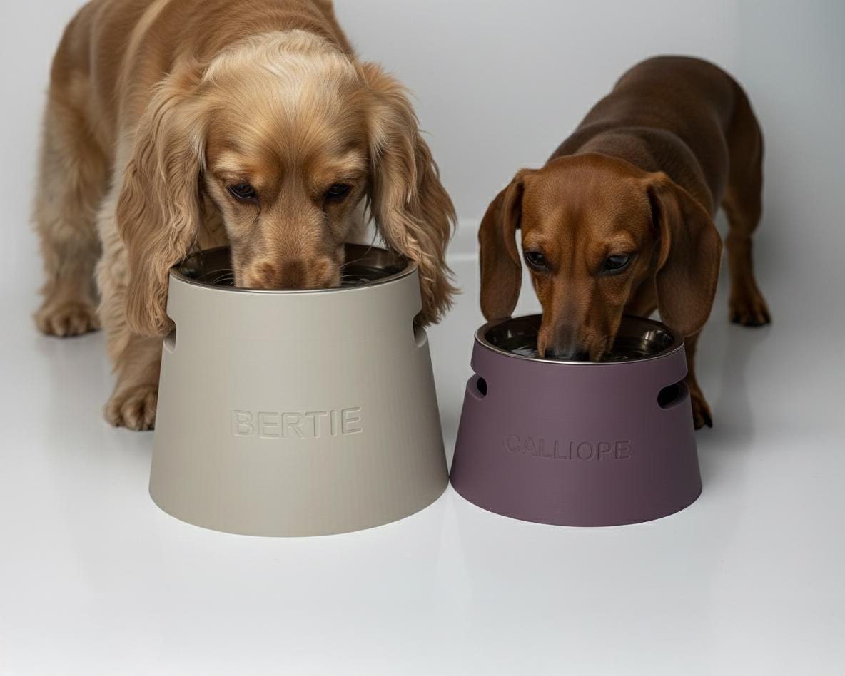 Personalized Elevated Dog Bowl Holder with Custom Name and Metal Bowl
