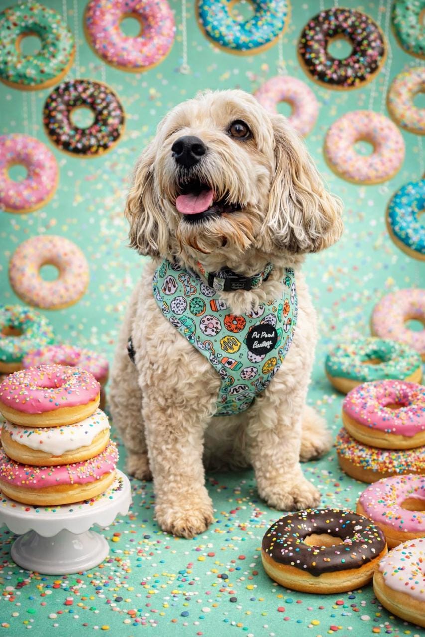 Iced Doughnuts & Coffee Puppy or Dog Harness - XS - L
