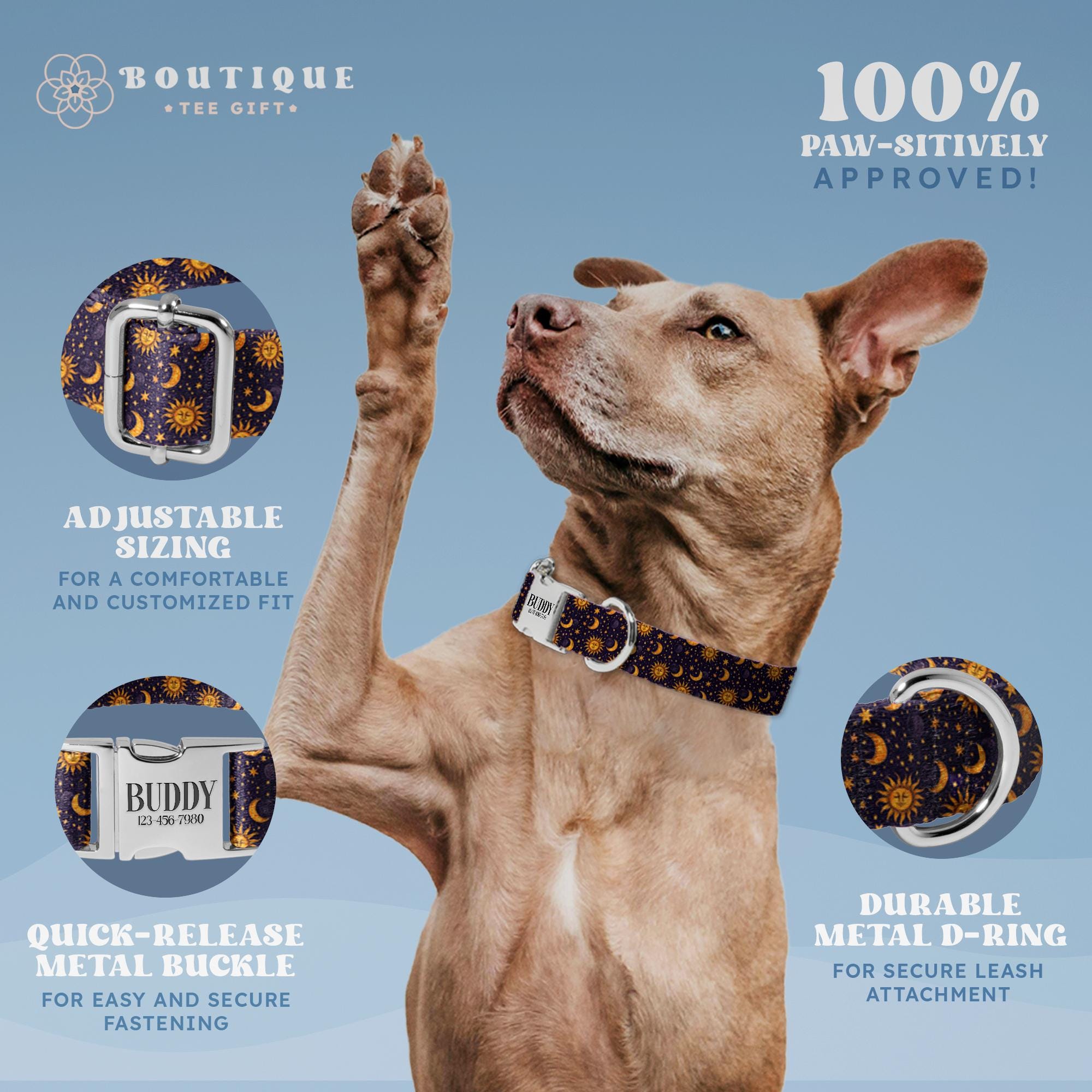 Celestial Dog Harness and Collar Set | Custom Engraved Dog Collars with Metal Buckle | No Pull Harness for Small Dog (DOG37_2)