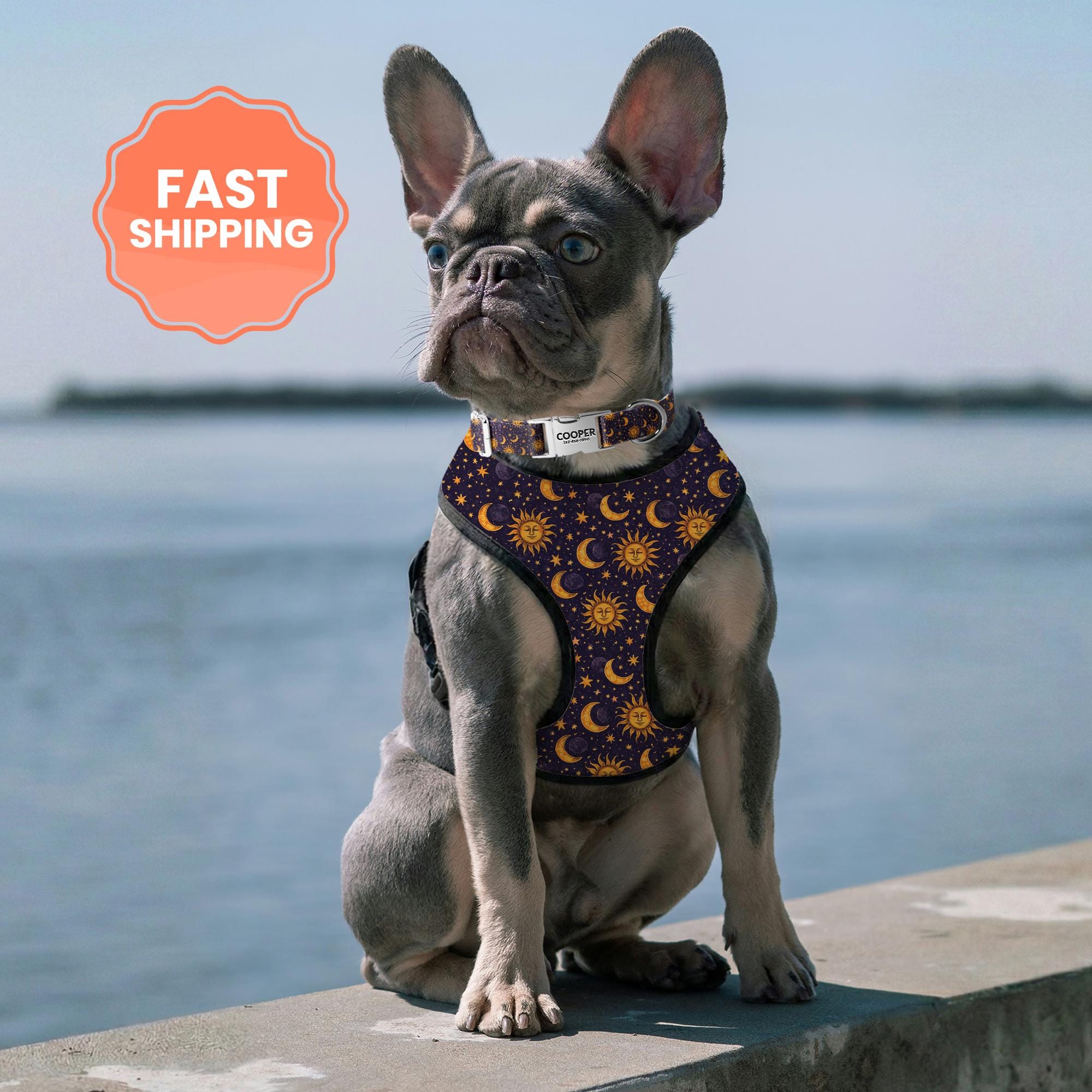 Celestial Dog Harness and Collar Set | Custom Engraved Dog Collars with Metal Buckle | No Pull Harness for Small Dog (DOG37_2)