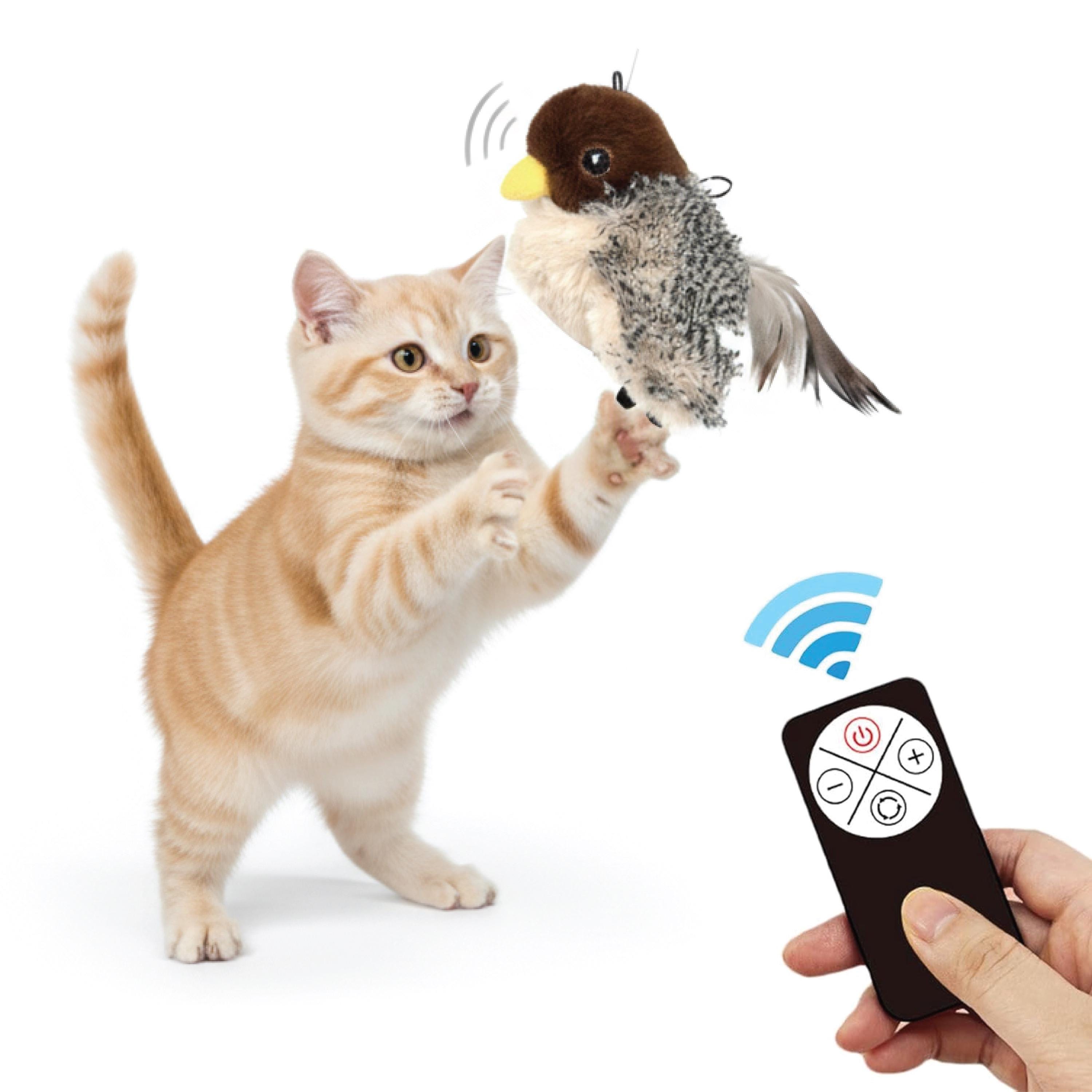Interactive Cat Toy, Remote Control Flapping Bird, Rechargeable with Catnip