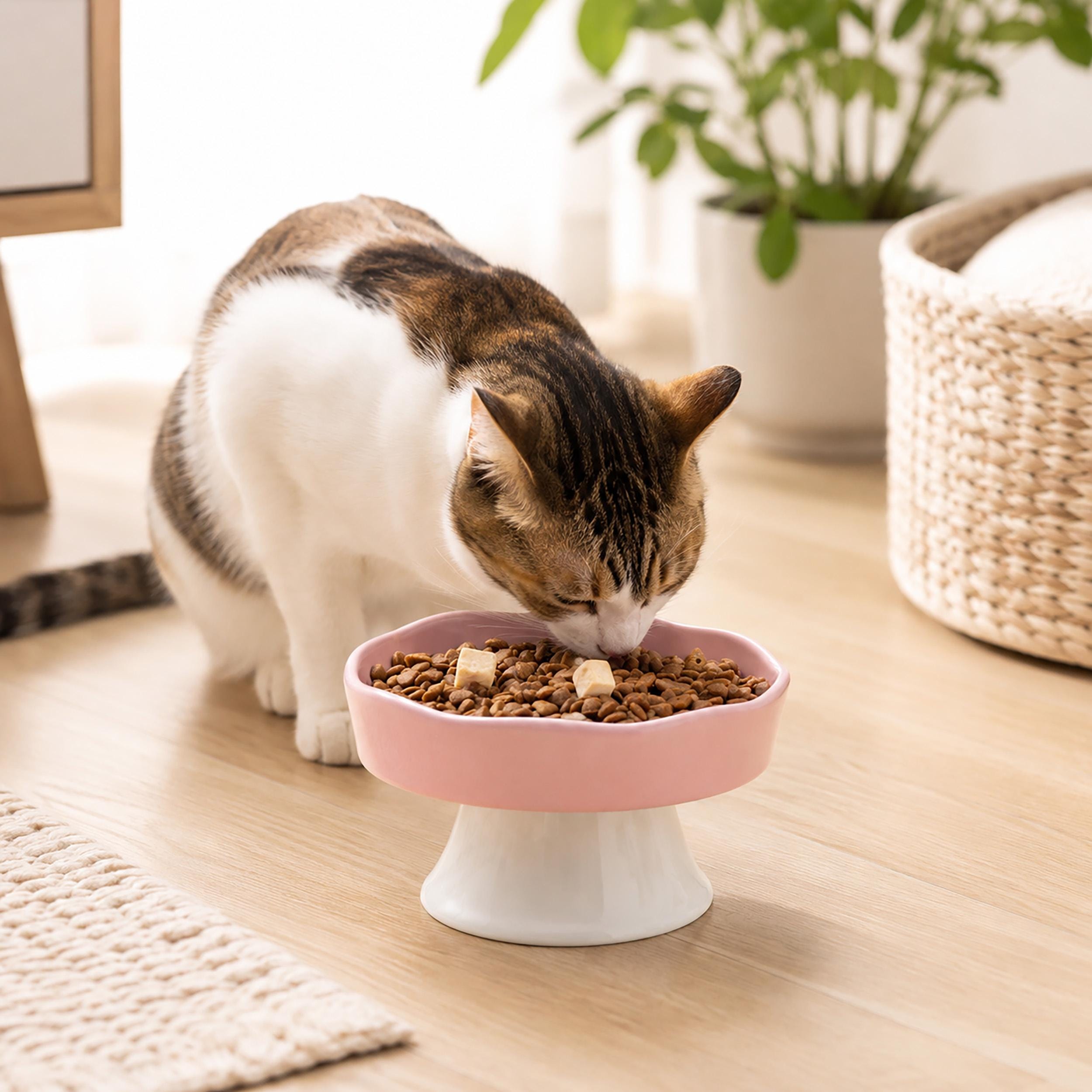 Ceramic Raised Slow Feeder Cat Bowl, Flower Shaped Pet Food Dish, Elevated Anti-Gulp Cat Bowl, Glossy Ceramic Bowl for Cats & Small Dogs