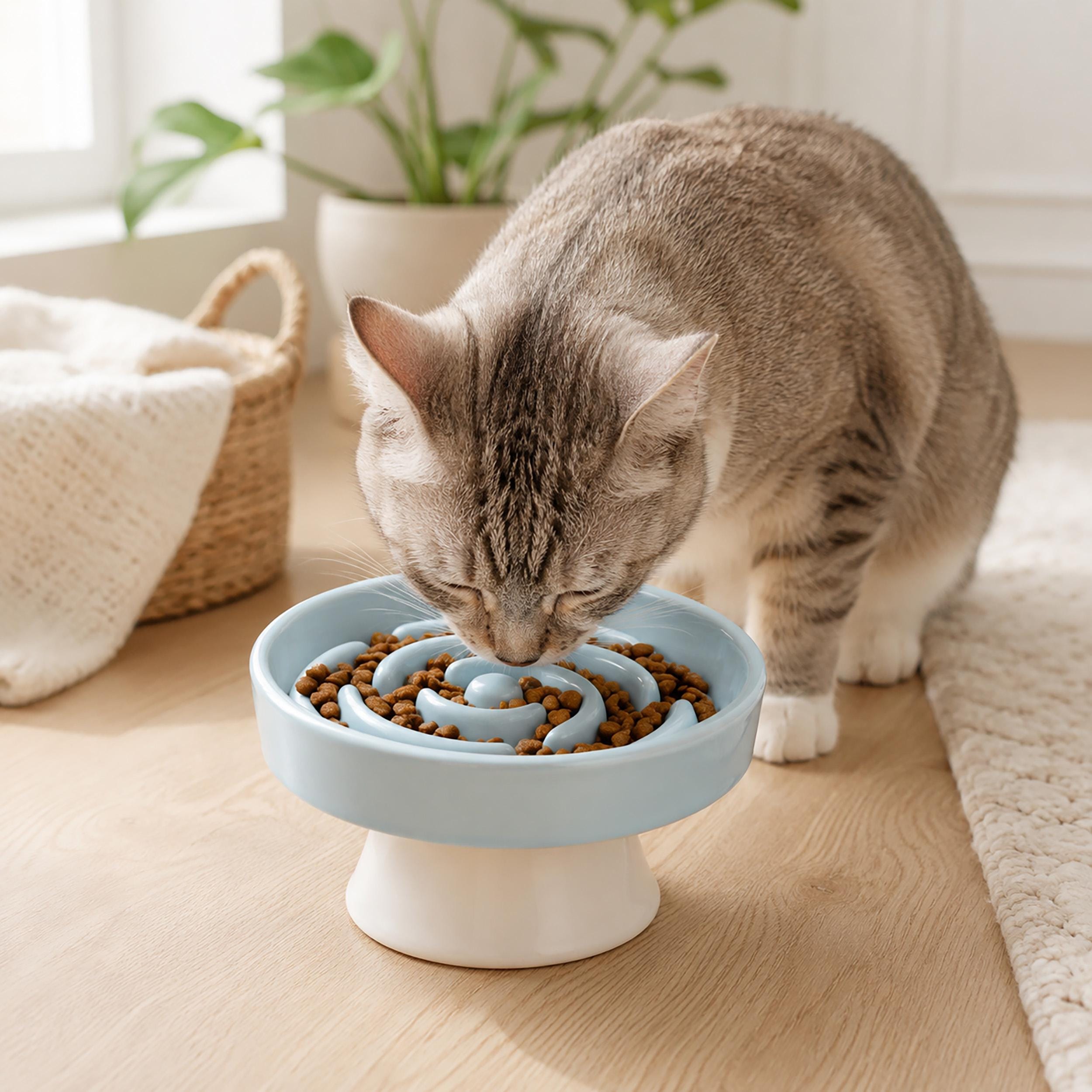 Ceramic Raised Slow Feeder Cat Bowl, Flower Shaped Pet Food Dish, Elevated Anti-Gulp Cat Bowl, Glossy Ceramic Bowl for Cats & Small Dogs