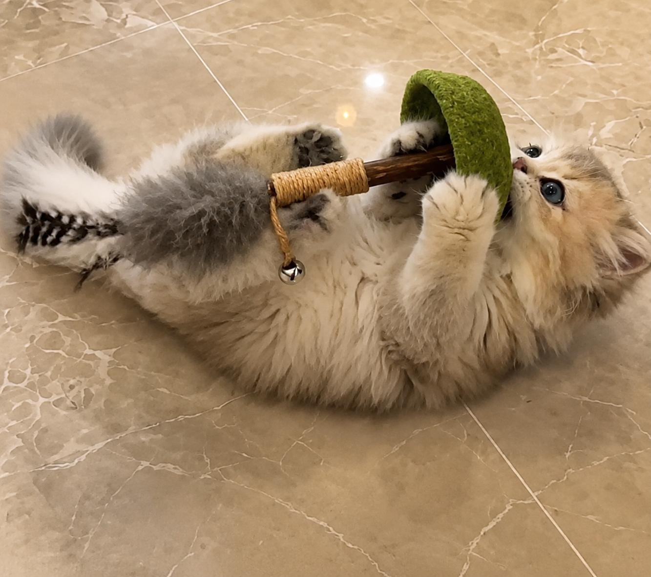 Interactive Cat Feather Toy with Catnip Bell, Wobble Teaser Cat Toy, Natural Sisal Wand for Indoor Cats Kittens