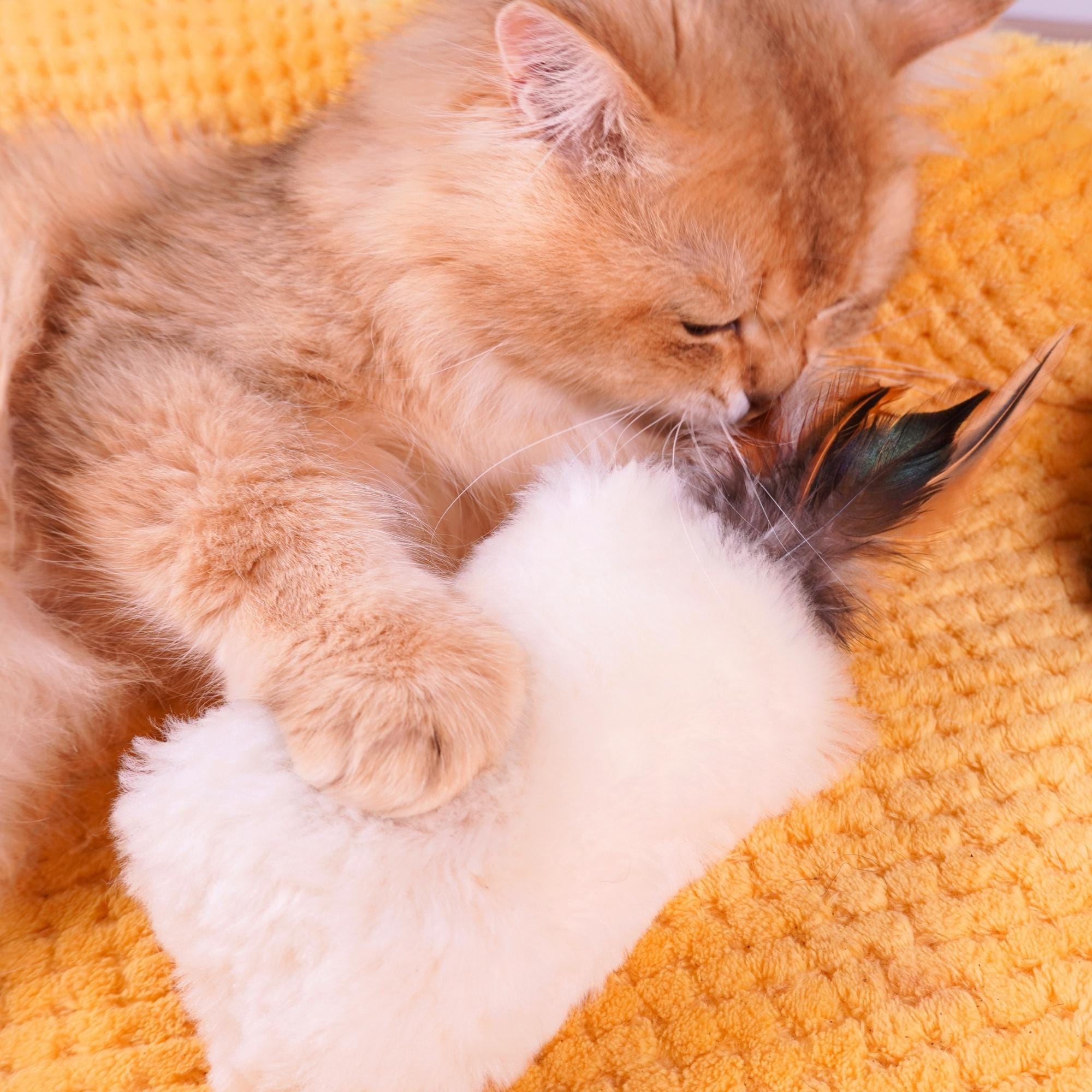 Sheepskin Wool Cat Kicker Toys with Natural Pheasant Feathers